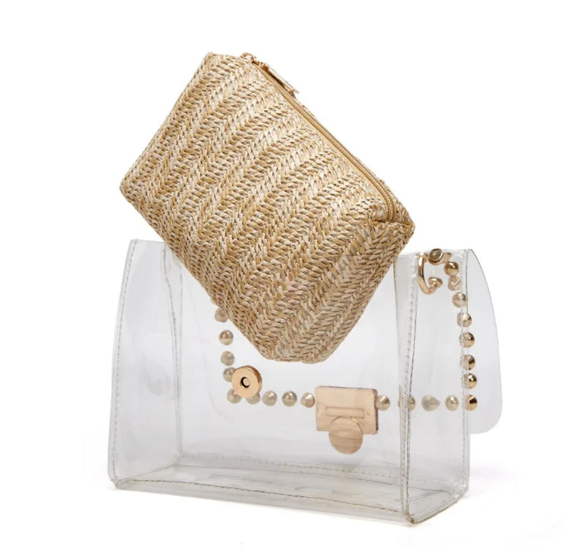Zara Bags- Bubble