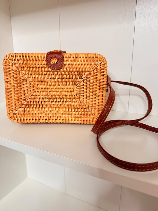 Zara Bags - Picnic