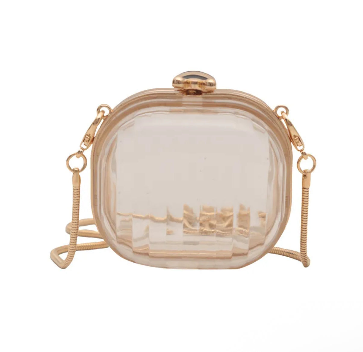 #2 Mini Acrylic Zara Bag