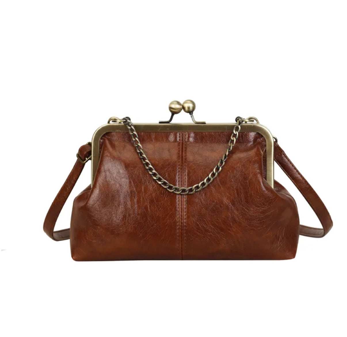Vintage Coin Zara Bag