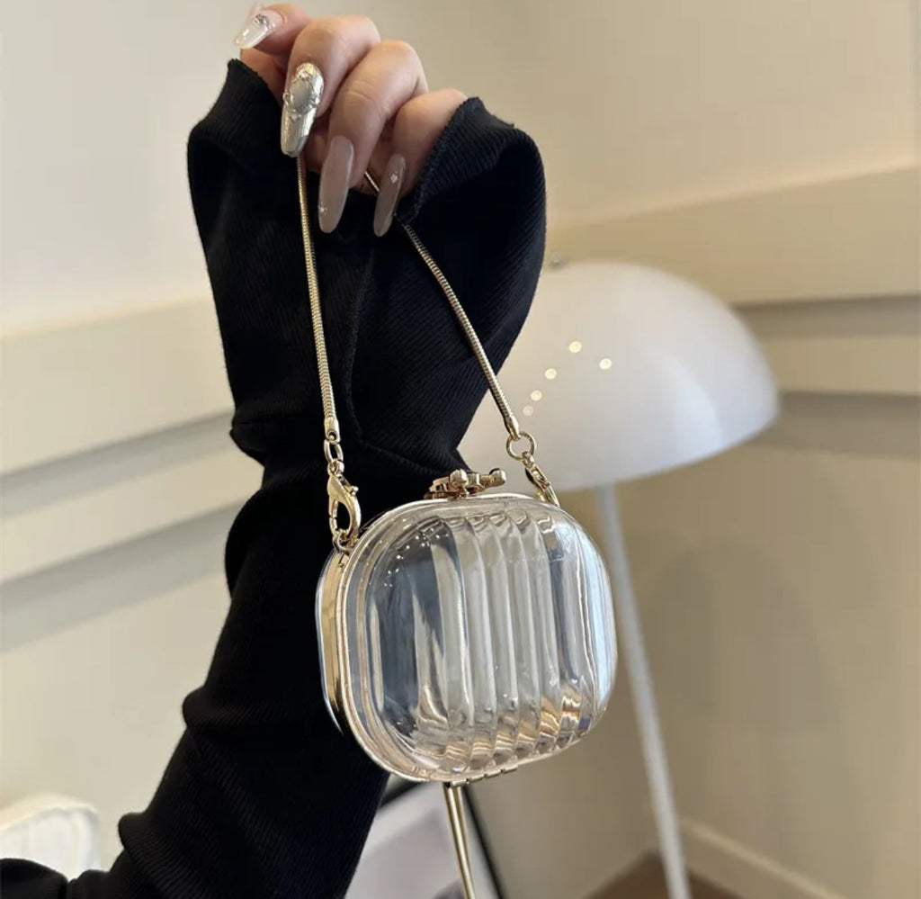 #2 Mini Acrylic Zara Bag